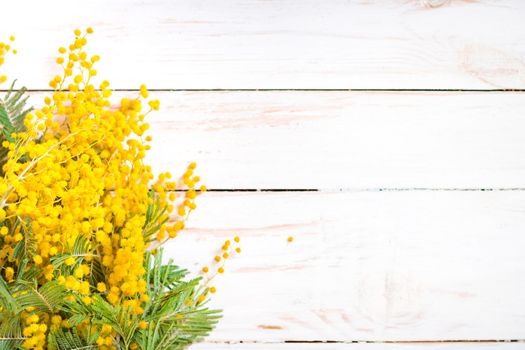 Mimosa flowers bouquet on the rustic white wooden background. Shabby chic style decoration with flowers. Selective focus. Space for text