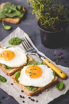 Healthy sandwich with wholegrain toast, fried egg, fresh spinach, thyme on rustic stone background. Egg sandwich for morning breakfast. Clean healthy eating concept. Vegetarian lunch/snack. Close-up
