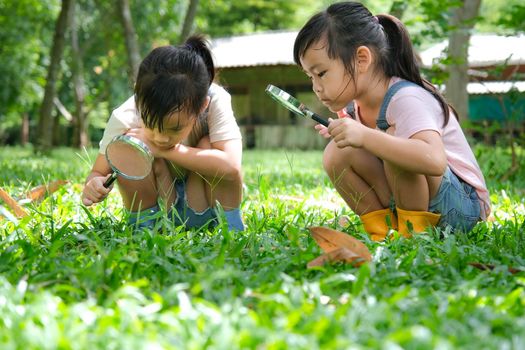 Children learn and explore nature with an outdoor magnifying glass. Curious child looks through a magnifying glass at the trees in the park.  Two little sisters playing with magnifying glass.