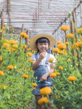 Little girl wearing a hat helps her mother in the marigold garden, a little gardener. Cute girl playing in a beautiful flower garden.