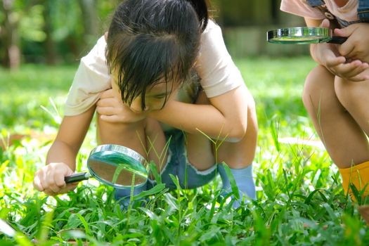 Children learn and explore nature with an outdoor magnifying glass. Curious child looks through a magnifying glass at the trees in the park.  Two little sisters playing with magnifying glass.