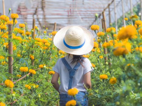 Little girl wearing a hat helps her mother in the marigold garden, a little gardener. Cute girl playing in a beautiful flower garden.