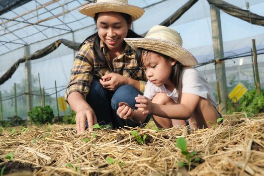 Little girl wearing a hat helps her mother in the garden, a little gardener. Cute girl planting vegetables in the garden.