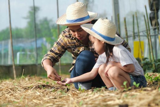 Little girl wearing a hat helps her mother in the garden, a little gardener. Cute girl planting vegetables in the garden.