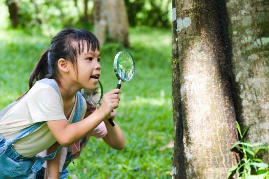 Children learn and explore nature with an outdoor magnifying glass. Curious child looks through a magnifying glass at the trees in the park.  Two little sisters playing with magnifying glass.