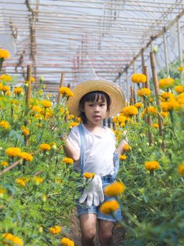 Little girl wearing a hat helps her mother in the marigold garden, a little gardener. Cute girl playing in a beautiful flower garden.