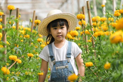 Little girl wearing a hat helps her mother in the marigold garden, a little gardener. Cute girl playing in a beautiful flower garden.