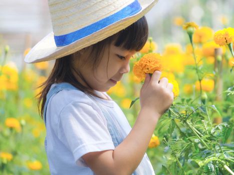 Cute little girl in a hat is smelling flowers in the marigold garden. Cute girl playing in a beautiful flower garden. A little gardener.