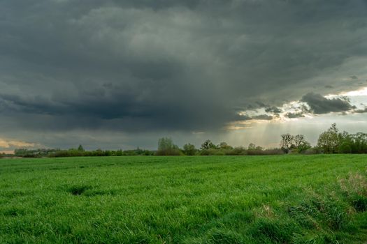 Dark rain cloud over a green field, spring cloudy day