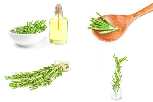 Collage of rosemary isolated on a white cutout