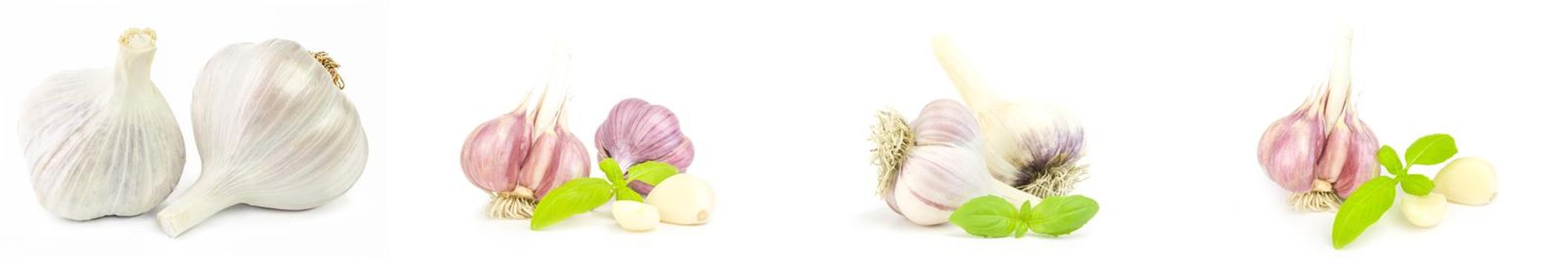 Collage of Garlic isolated on a white background cutout