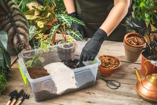 Plant store worker wering black gloves mixing the soil mix ingredients in the plastic container. Home gardening concept. Cultivation and care for the indoor potted plants.