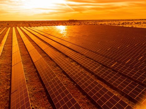 Aerial top view of a solar panels power plant. Photovoltaic solar panels at sunrise and sunset in countryside from above. Modern technology, climate care, earth saving, renewable energy concept