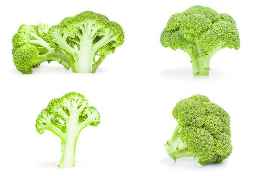 Collage of broccoli floret isolated on white