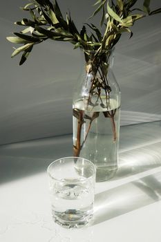 A glass vase with a green plant and glasse of water on a white table. Minimalism.