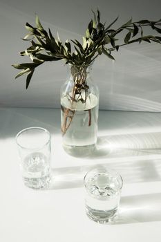 A glass vase with a green plant and two glasses of water on a white table. Minimalism.