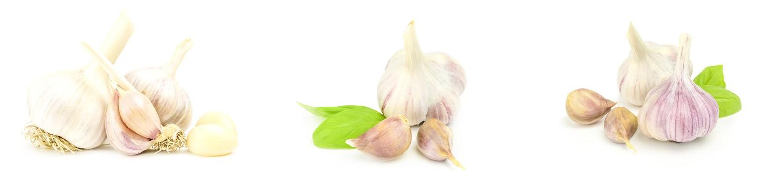 Collage of Clove garlic isolated on white