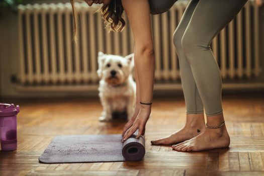 Close up of a womans hands is rolling up exercise mat and preparing to doing yoga. She is supporting by her pet dog in morning sunshine at home.
