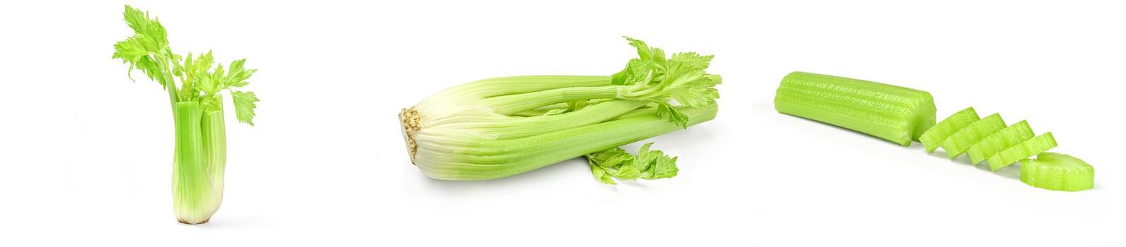 Collage of celery isolated on white