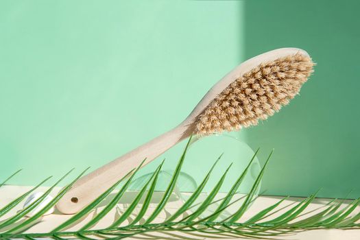 Cactus bristle brush for anti-cellulite massage on a green background. The concept of body care. Spa, eco beauty treatments, beauty concept.