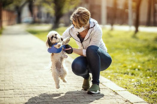 A woman in a medical protective mask is spending time and walking with her cute little Shih Tzu dog during allergy or flu virus outbreak and coronavirus epidemic.