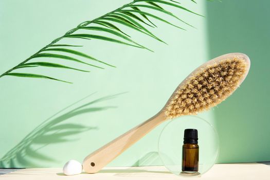 Cactus bristle brush for anti-cellulite massage and massage oil on a green background. The concept of body care. Spa, eco-beauty treatments, beauty and fashion concept.