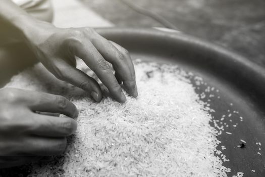 Global food crisis concept. Woman hand holding rice in plastic tray. Uncooked milled white rice. Poor and poverty concept. Human catastrophe in global food crisis effects of climate change and war.