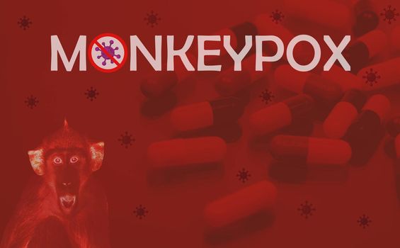 Monkeypox outbreak concept. Monkeypox is caused by monkeypox virus. Pills for treatment monkeypox. New antiviral medicine concept. Treatment regimen for stop and prevention monkey pox outbreak.