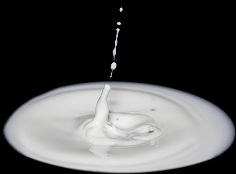 beautiful splash of drop milk at black background