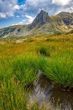 beauty day landscape on the mountain with grass, water and hill