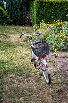a bike parked on a meadow with flowers at sunny autumn day. Vertical view