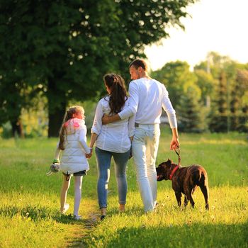 little girl with a pregnant mother,a happy father and a pet dog for a walk in the Park on a spring day.the photo has a space for your text