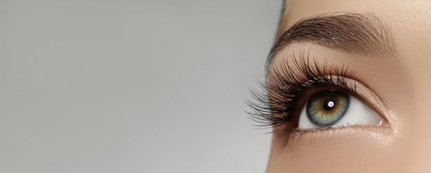 Beautiful macro shot of female eye with extreme long eyelashes and black liner makeup. Perfect shape make-up and long lashes. Closeup shot of fashion eyes visage on gray background with copy space