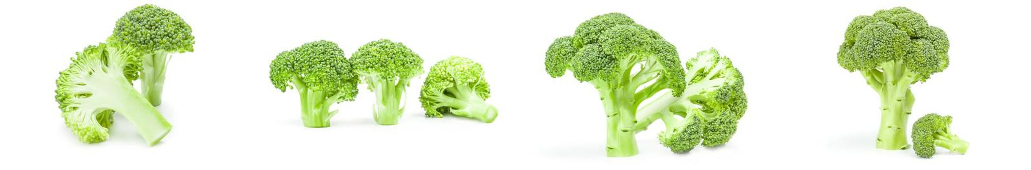 Collection of fresh head of broccoli isolated on a white background