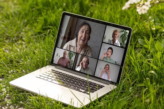 video conferencing on laptop PC in the garden on vacation in summer