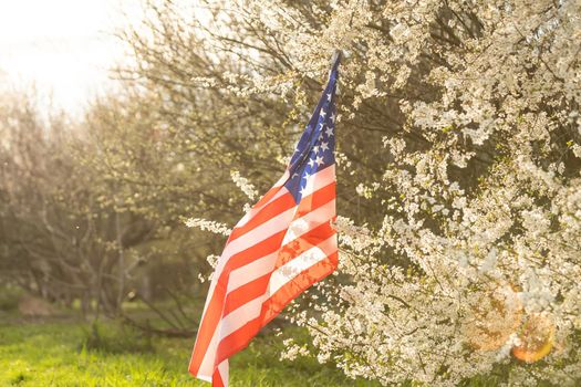 American flags in flowers on the Fourth of July.