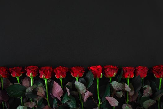 Red roses on a black background. Top view. Flat lay. Copy space. Still life Valentine's Day