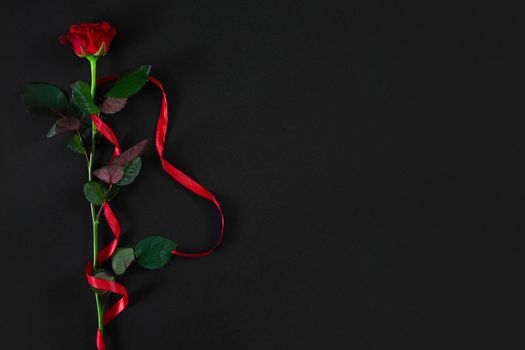 One dark red rose with red ribbon on black background. Romantic Valentines holidays concept. Valentine's day greeting card. Top view. Copy space. Still life. Flat lay