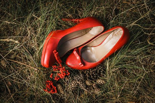 Wedding vintage shoes in grass with rowan berries