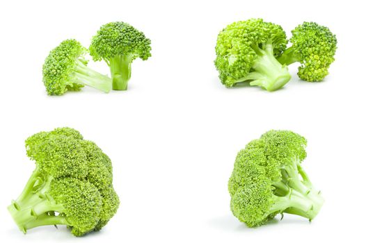 Set of fresh green broccoli isolated on white