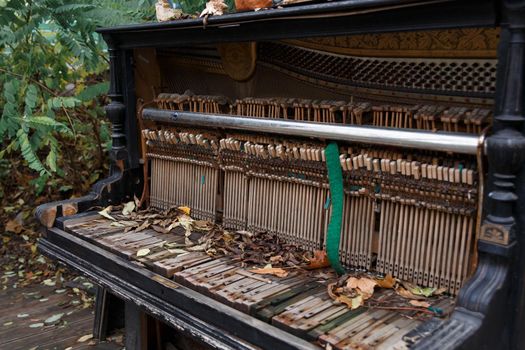 The insides of an old ruined piano standing outdoors