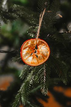A slice of dried orange hanging on the Christmas tree as a Christmas toy