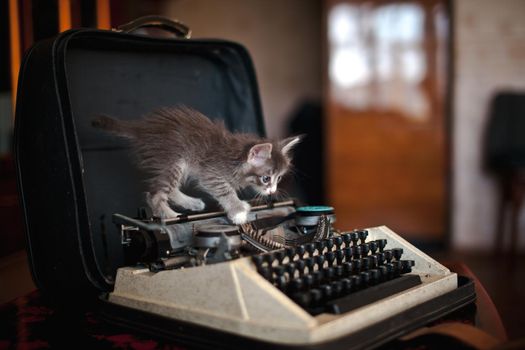 A grey kitten standing on an old typewriter