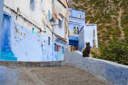 A Street in Blue Chefchaouen City, Morocco