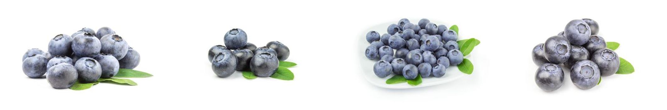Collection of greatbilberry on a white background