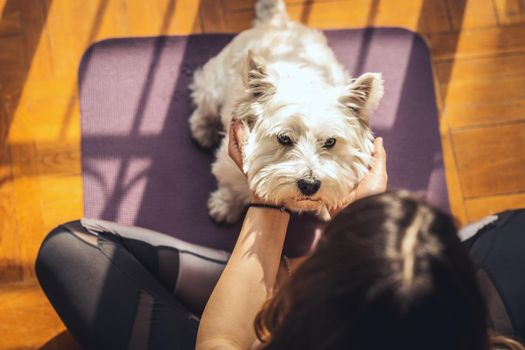 Young woman is doing yoga meditation in the living room at home. She is sitting on floor mat in morning sunshine and playing with her pet dog.