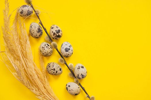 Easter background, quail eggs on a yellow background, decorated with natural botanical elements, flat lay, view from above