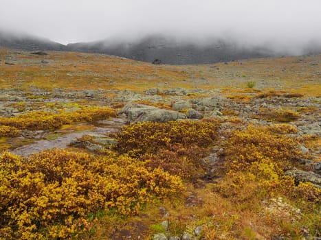 North Russia Khibiny mountains in autumn mountain lake and forest. Murmansk region. photo