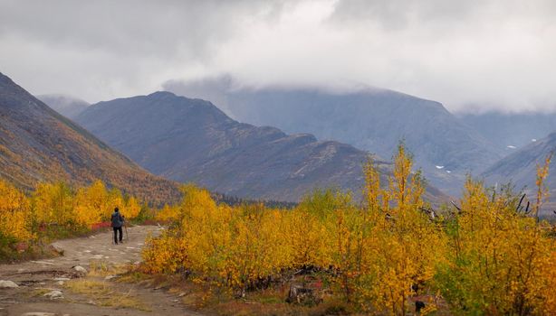A woman with a backpack in the autumn season walks along a path in the mountains on a rainy day. photo
