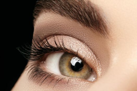 Close-up macro of beautiful female eye with perfect shape eyebrows. Clean skin, fashion naturel make-up. Good vision.